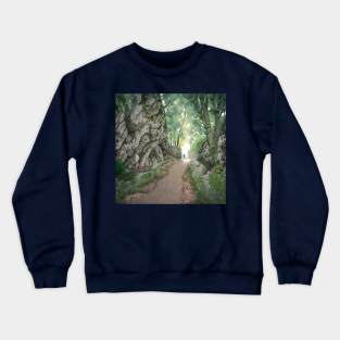 Mountain path Crewneck Sweatshirt